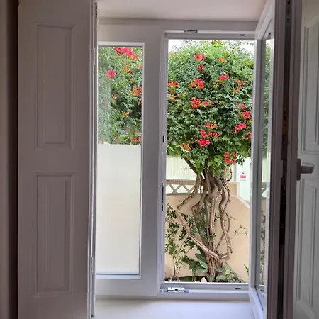 Luna Navegante Bed and Breakfast Πόρτο
