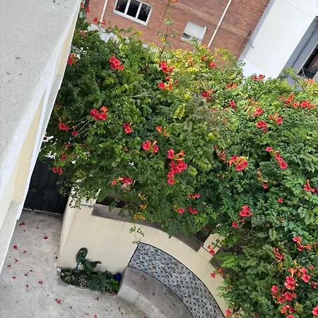 Bed and Breakfast Luna Navegante 3*